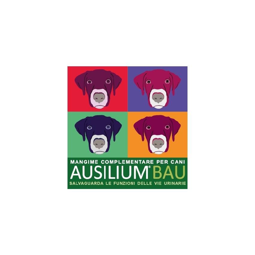 Ausilium Bau: Mangime Complementare Anti-Cistite per Cani - 300g con Misurino Incluso