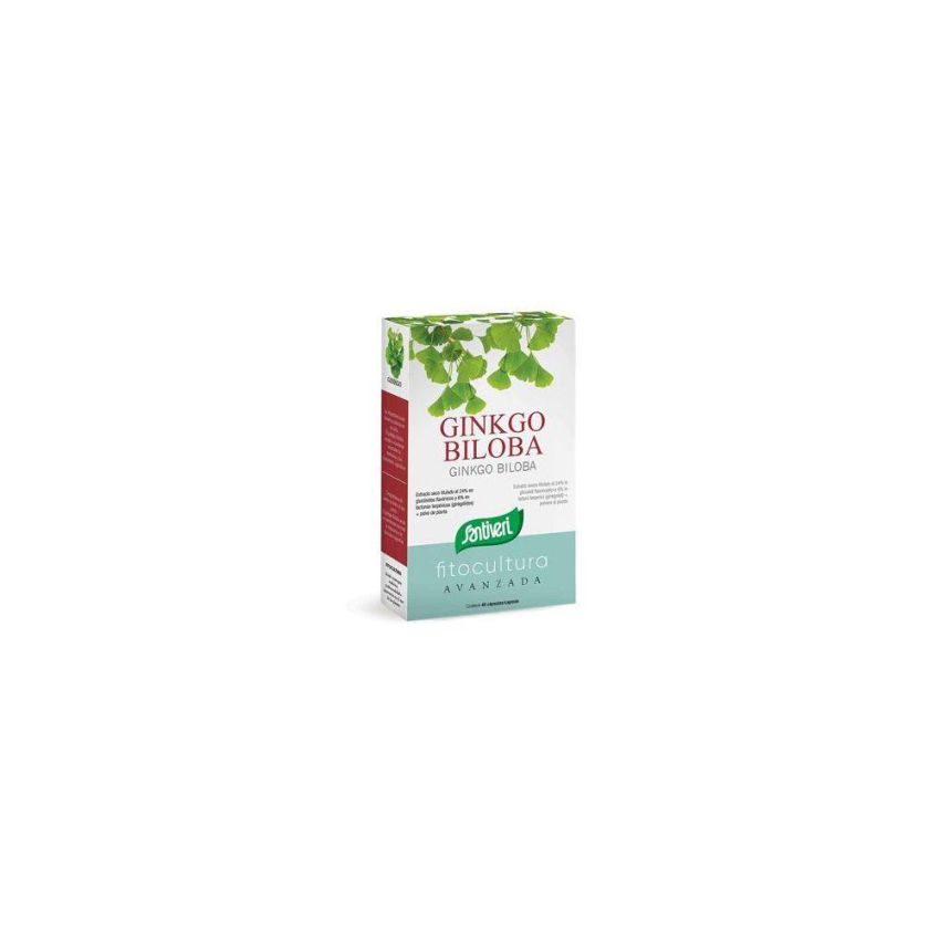 Ginkgo Biloba Supplemento Naturale - 40 Capsule