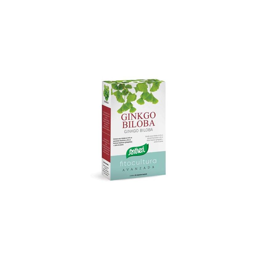 Ginkgo Biloba Supplemento Naturale - 40 Capsule