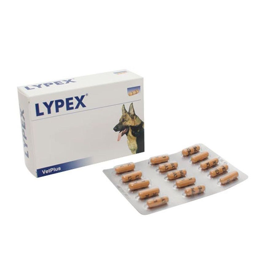 Lypex - Integratore Alimentare Premium per Animali Domestici, 60 Capsule
