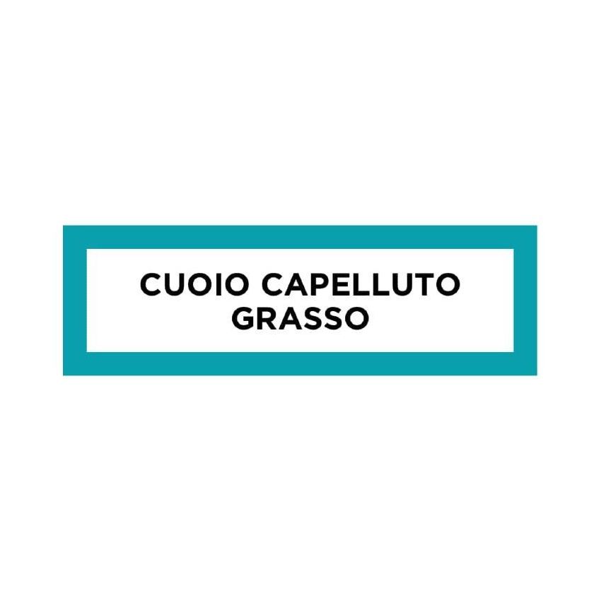 Shampoo Equilibrante Delicato Phyto Phytopanama per Cuoio Capelluto Grasso - 250ml