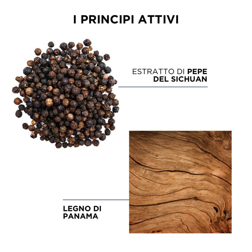 Shampoo Equilibrante Delicato Phyto Phytopanama per Cuoio Capelluto Grasso - 250ml