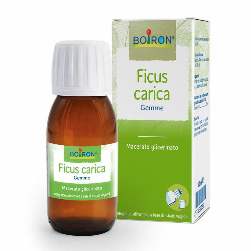 Macerato Glicerico di Ficus Carica - Flacone da 60ml