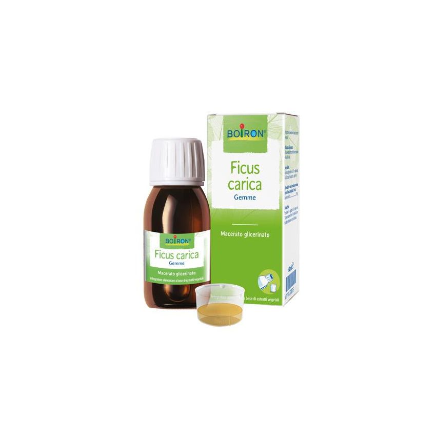 Macerato Glicerico di Ficus Carica - Flacone da 60ml