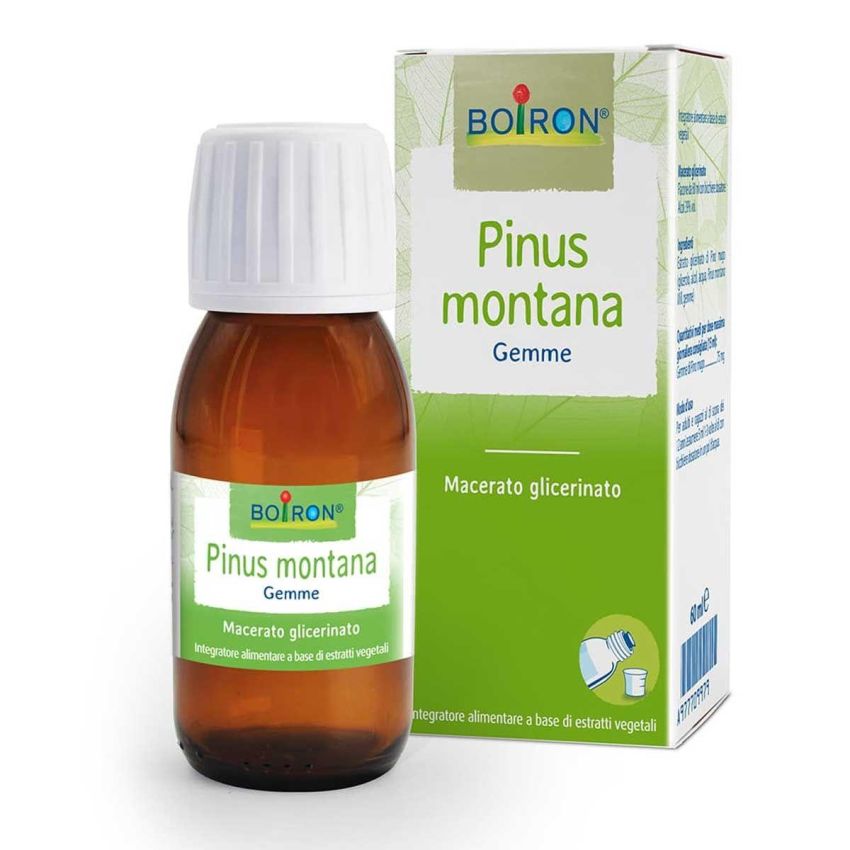 Pinus Montana Macerato Glicerico - Estratto Naturale 60ml