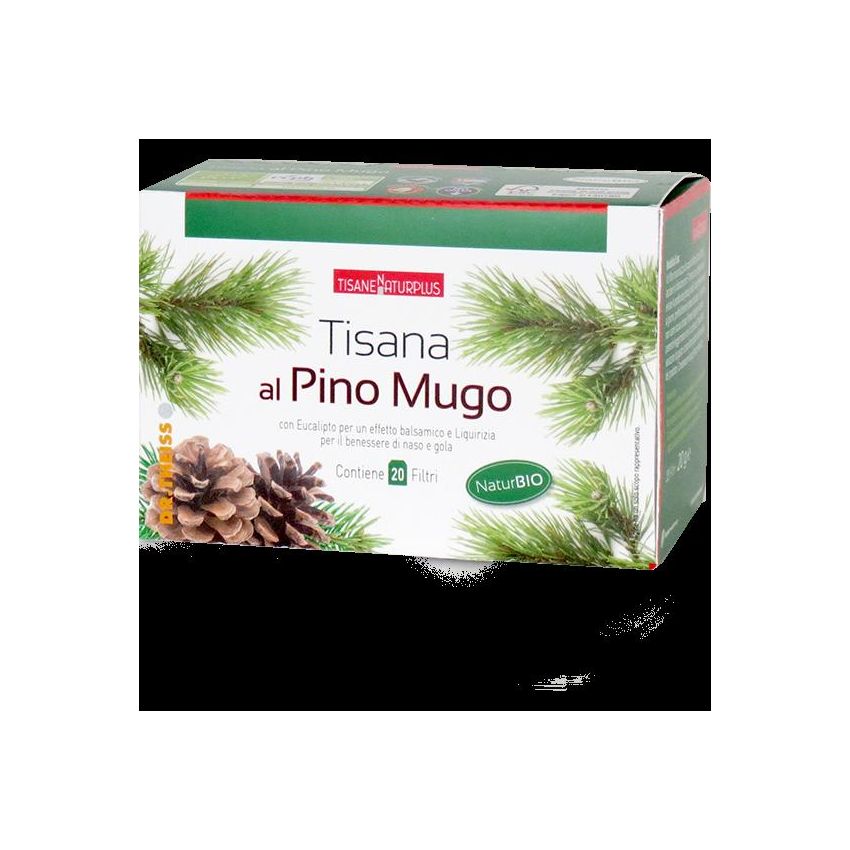 Tisana di Pino Mugo Naturplus - 20 Filtri da 30g