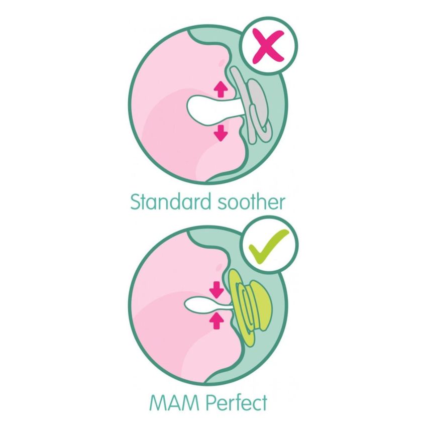 Succhietto Mam Perfect per Bambini dai 2-6 Mesi, 1 Pezzo, Design Assortito