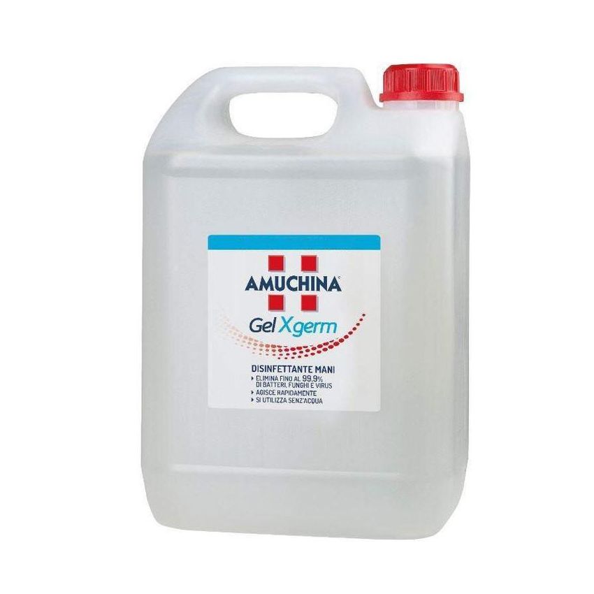 Amuchina X-Germ Gel Disinfettante - Formato Da 5 Litri