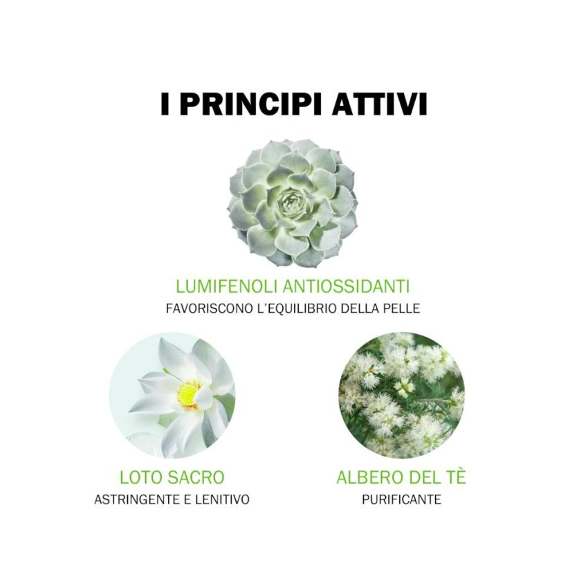 Jowa Gel Purificante per il Viso Anti-Imperfezioni, 40ml