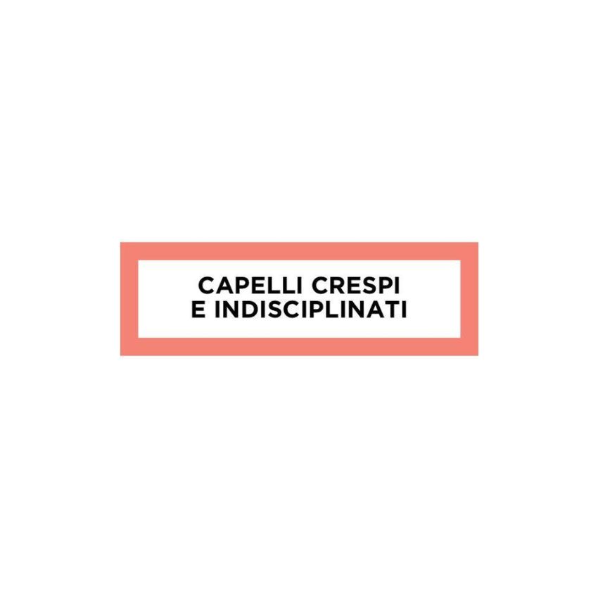 Trattamento Anticrespo Ritocco Fisico Phyto Phytodefrisant - 50ml