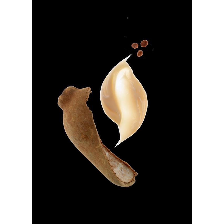 Shampoo Klorane con Burro di Cupuaù per Capelli Secchi e Danneggiati, 400ml