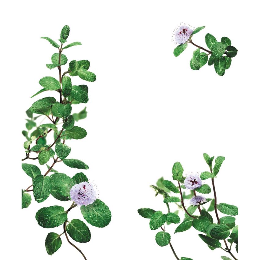 Klorane Balsamo Detox Bio Anti-Inquinamento con Menta Acquatica - 200ml