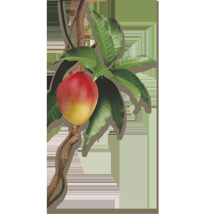 Balsamo per Capelli Klorane al Mango - 200ml