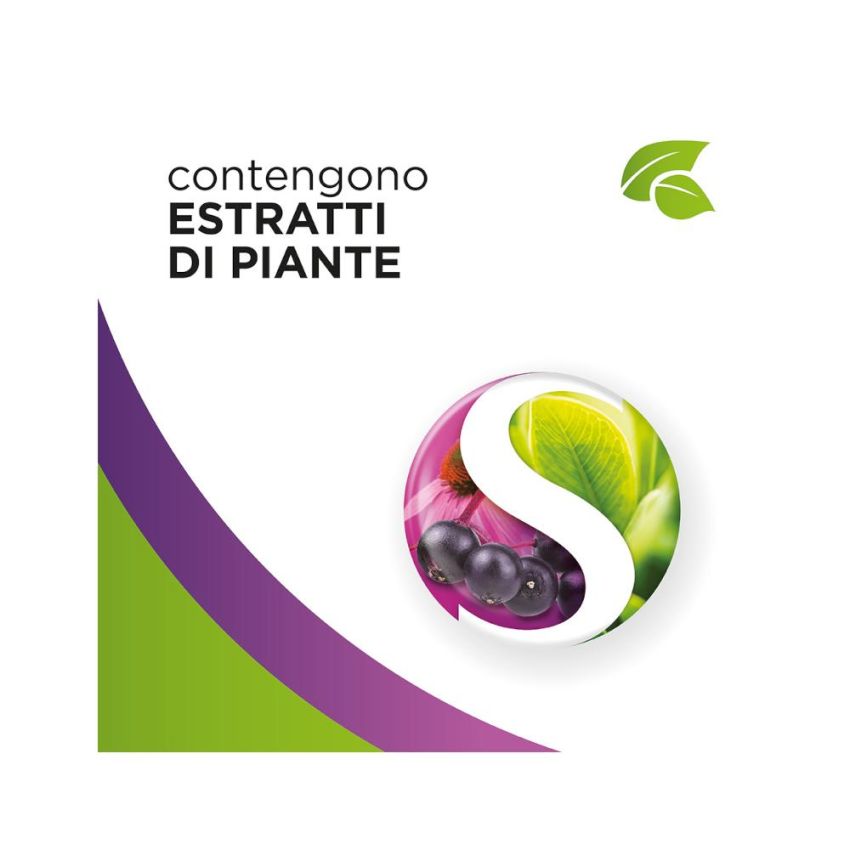 Benagol 24 Pastiglie Sapore Frutti di Bosco con Erbe Naturali