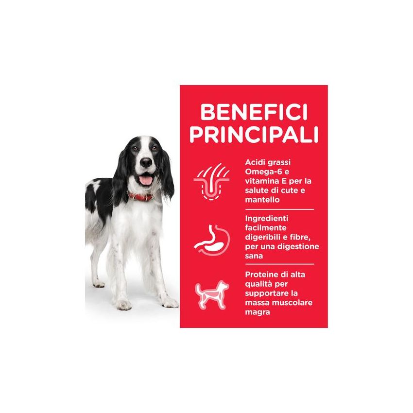 Hill's Science Plan Bocconcini di Tacchino per Cani Adulti 370g