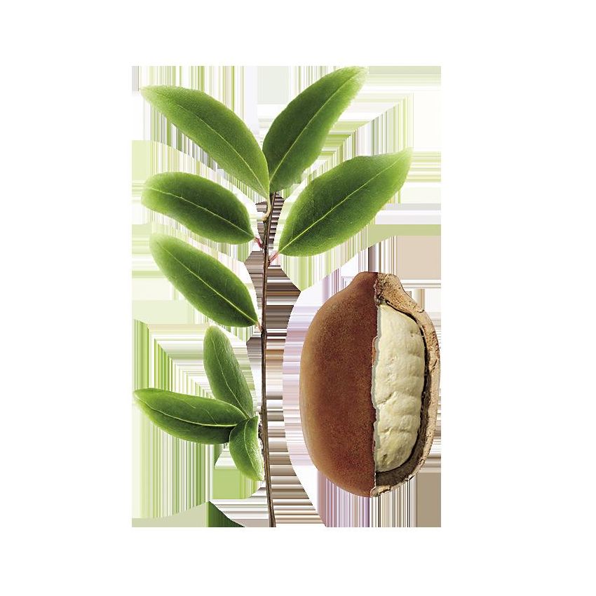 Klorane Siero Ristrutturante Bio con Burro di Cupuacu - 100ml