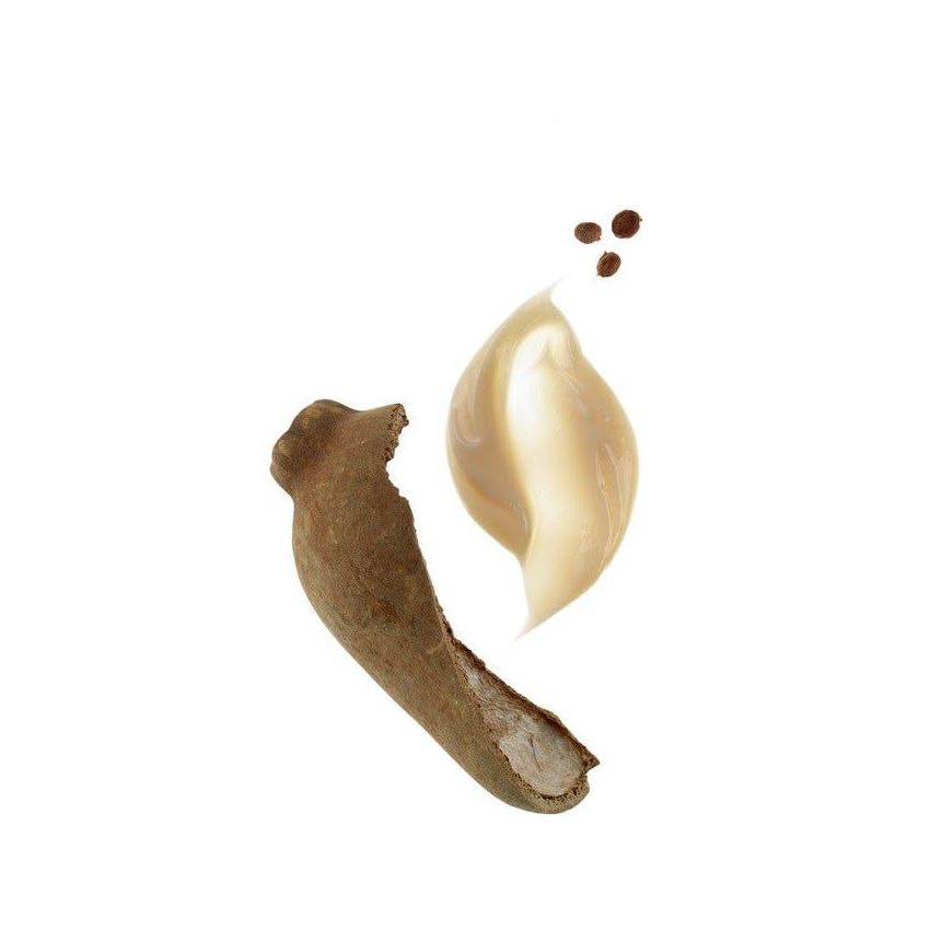 Shampoo Klorane Nutriente al Burro di Cupuaù, 100ml