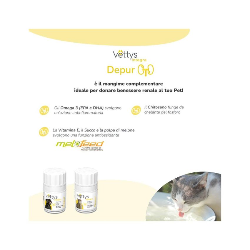 Vettys Integra Depur - Integratore Detox per Cani, 30 Compresse