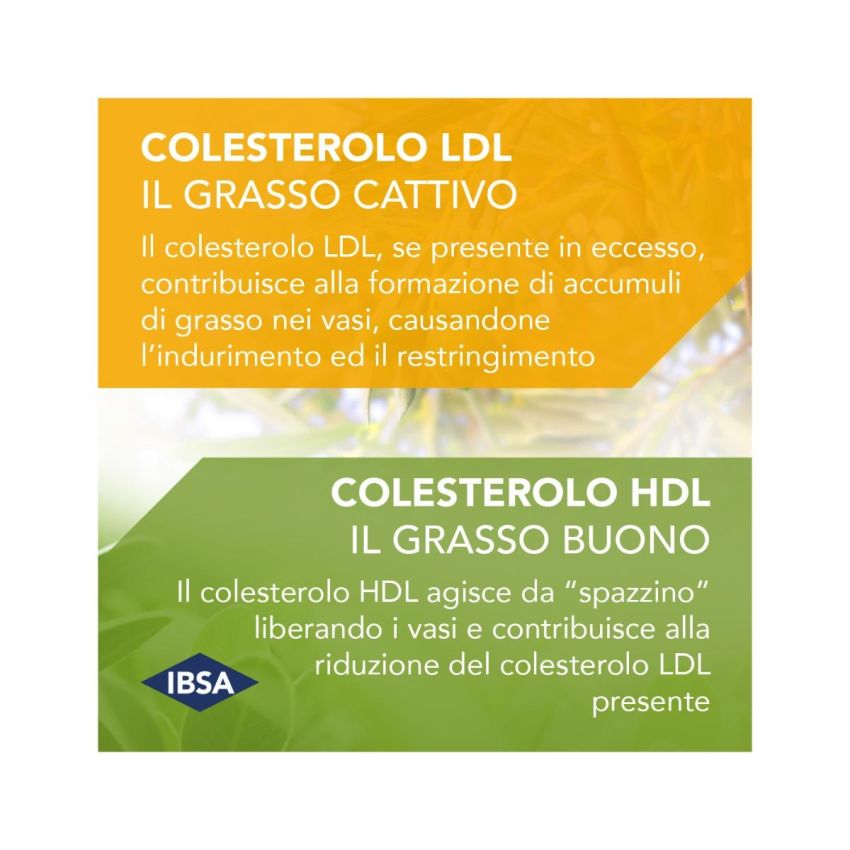 Colesia Supporto per Metabolismo e Colesterolo - 30 Capsule Morbide