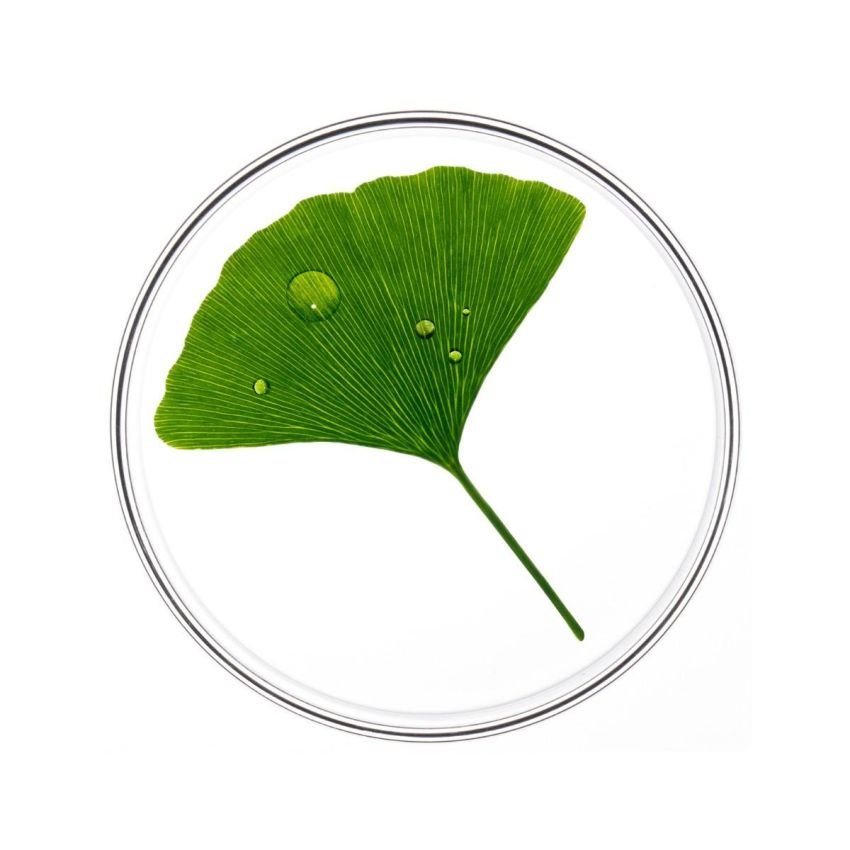 Phyto Phytocyane Siero Rigenerante Anticaduta per Donna, 12 Fiale da 5ml